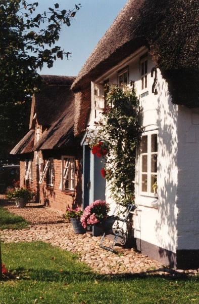 Friesenh&auml;user auf F&ouml;hr