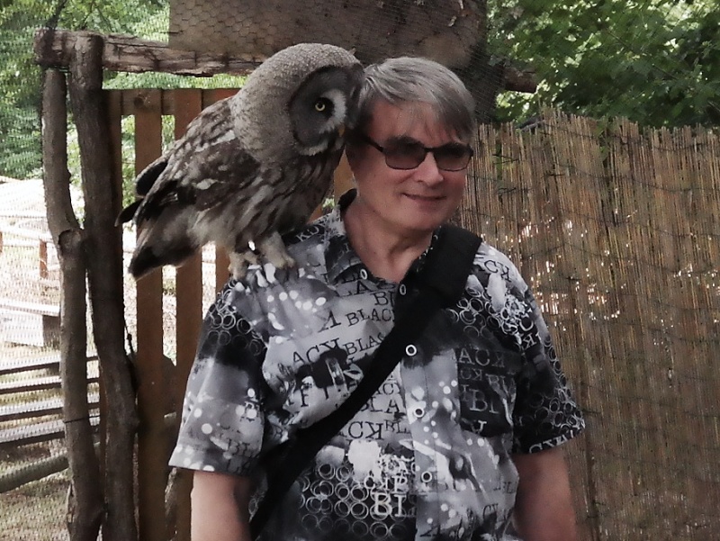 Greifvögel in der Falknerei auf Burg Regenstein