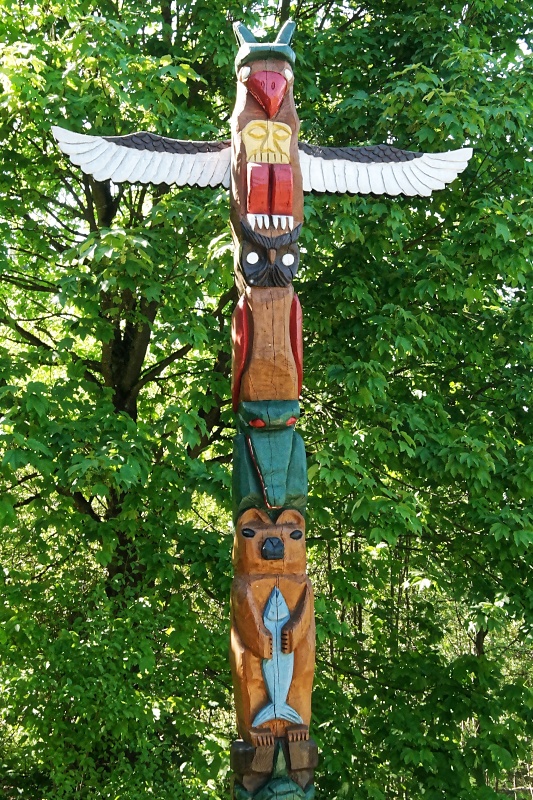 Arboretum (Weltwald) bei Bad Grund im Harz