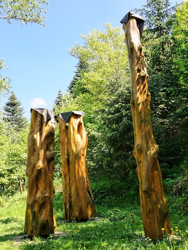 Arboretum (Weltwald) bei Bad Grund im Harz