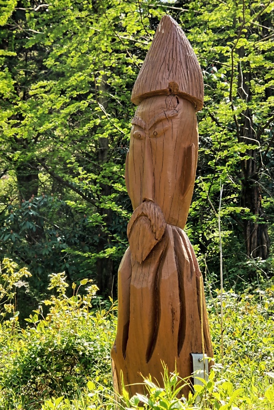 Arboretum (Weltwald) bei Bad Grund im Harz