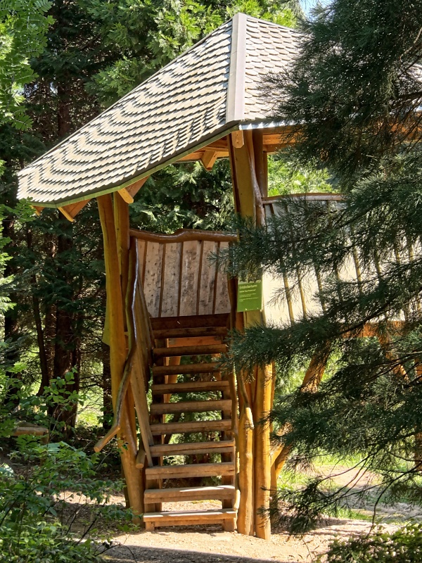 Arboretum (Weltwald) bei Bad Grund im Harz