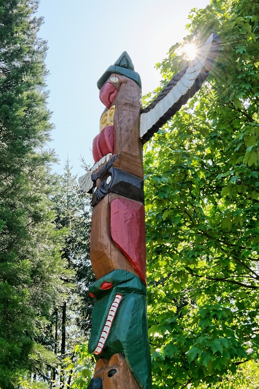 Arboretum (Weltwald) bei Bad Grund im Harz