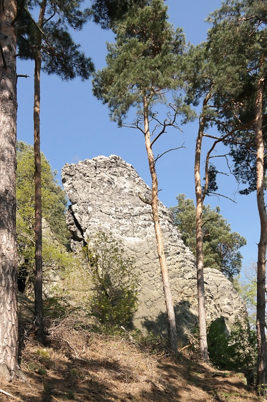 Teufelsmauer bei Blankenburg am Harz