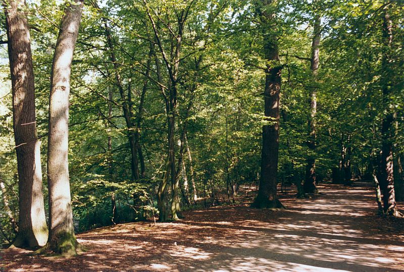 Naherholungsgebiet Riddagshausen in Braunschweig