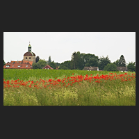 2017-06-05_Mohn_bei_Salzdahlum_02.jpg